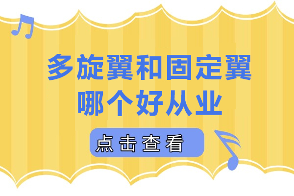 多旋翼vs固定翼无人机飞手职业抉择指南：关键要素与策略分析