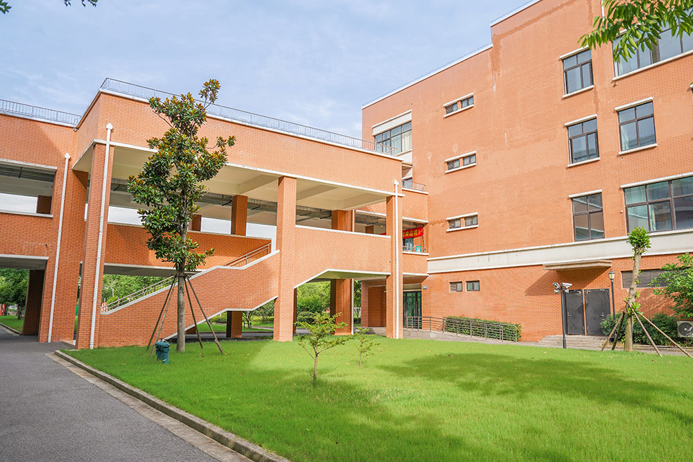 学校绿化环境相册