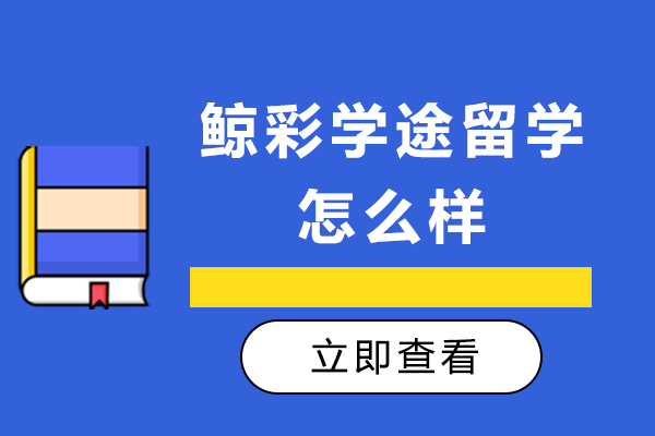 成都鲸彩学途留学深度解析：名校申请背后的专业力量 