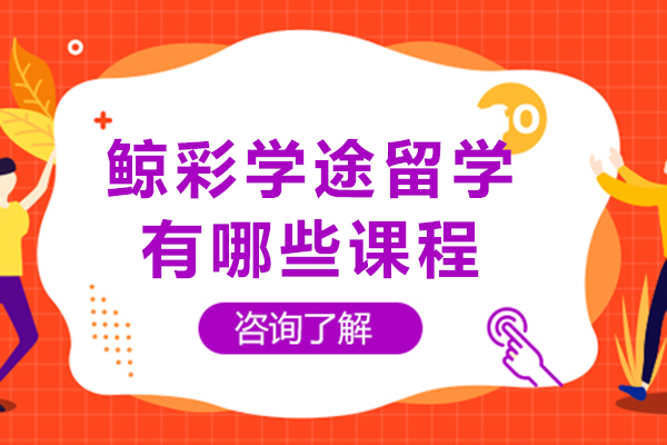 鲸彩学途留学精英课程与师度揭秘 