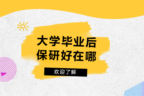 揭秘保研核心优势：大学生升学的黄金路径 