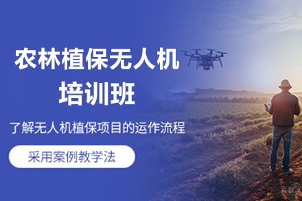 长沙专业农林植保无人机培训全指南 | 掌握现代化农业技能