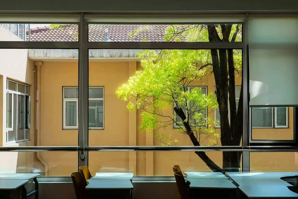 教室窗外环境