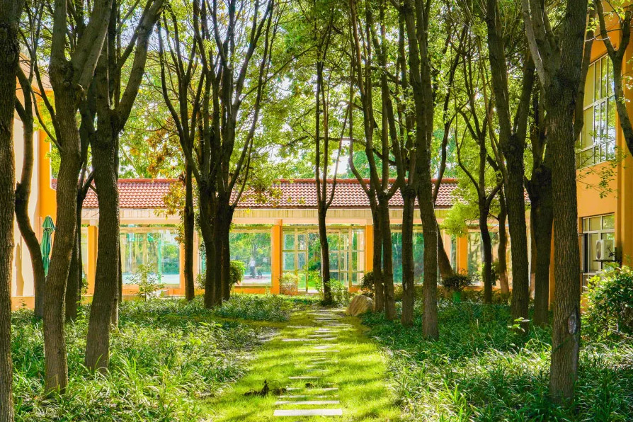 学校绿植环境相册