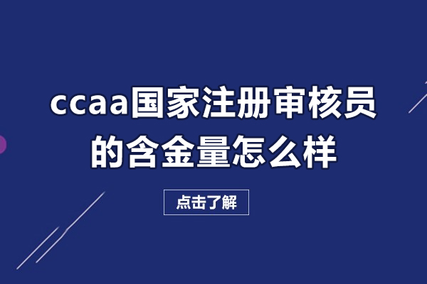 CCAA国家注册审核员的价值探秘：高含金职业机遇 