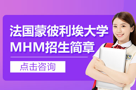 蒙彼利埃大学MHM医疗健康管理硕士深度解析：培养全球医疗领袖