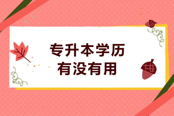 专升本学历价值解析：职业晋升的关键阶梯 