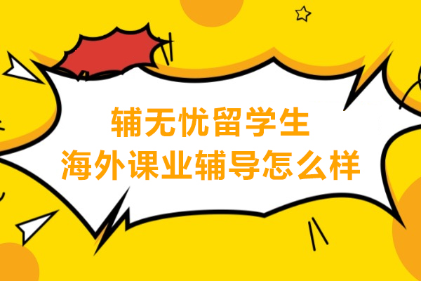 武汉辅无忧海外课业辅导深度解析：教学优势与服务价值 