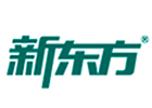 长沙新东方保研