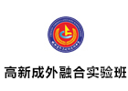 成都高新成外融合实验班