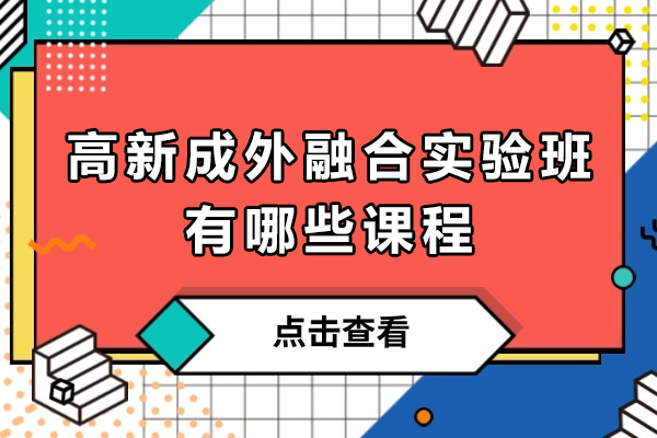成都高新成外融合实验班全面解析：课程体系与适配对象详解