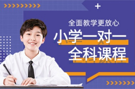 深圳小学一对一个性化全科提升训练解析