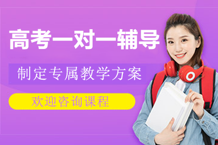 深圳学而优高考一对一辅导深度解析