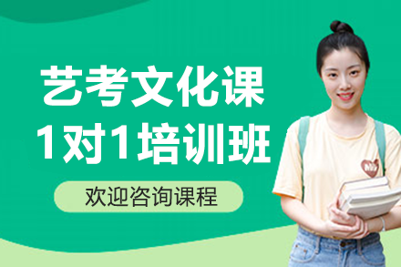 深圳艺考生个性化文化课1对1教学全攻略