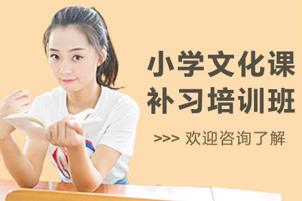 沈阳百时教育：小学生全科辅导规划详解