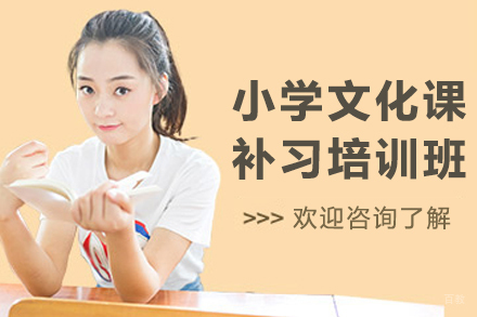 沈阳百时教育：小学生全科辅导规划详解