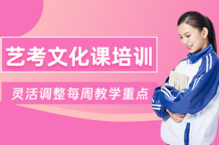 石家庄艺考生文化课提分攻略：高效学习法与冲刺方案揭秘