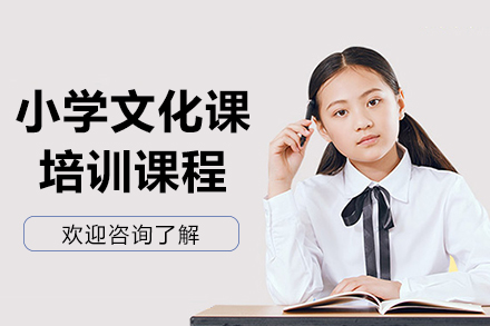大连百时教育小学文化课个性辅导方案 | 提升学业表现
