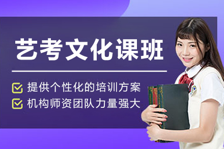 大连艺术生文化课强化突破指南