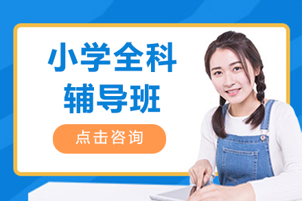 海淀区小学全科辅导权威指南：定制化学习方案揭秘