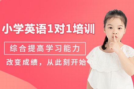 成都个性化小学英语1对1辅导解决方案