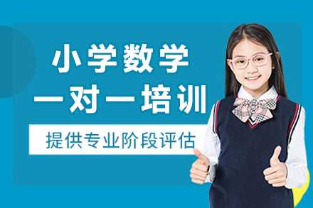 成都小学数学一对一专属辅导秘诀解析