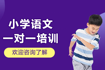 成都小学语文一对一能力精进训练课程