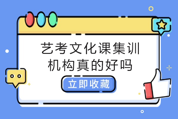 艺术生文化课集训机构的真实成效探究