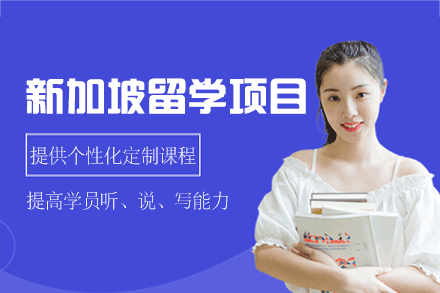 新加坡留学申请全攻略：专业服务解析与优势体验