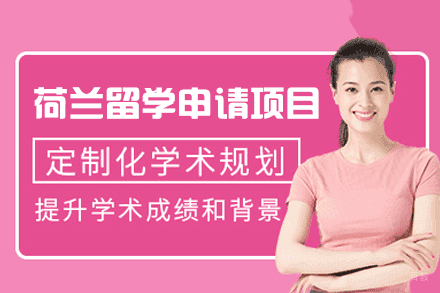 荷兰留学申请专业服务解析与成功指南