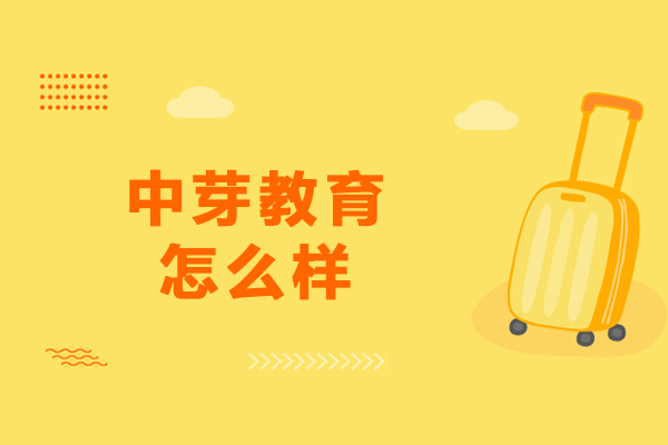 沈阳中芽教育专业评测：教学质量与核心优势解析 