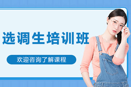 沈阳选调生培训精英班：高效提升公职竞争力