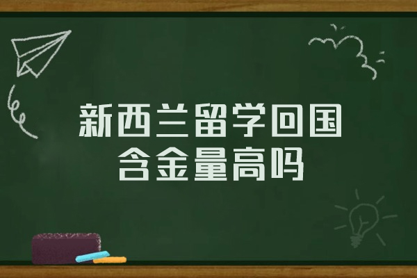 新西兰留学回国竞争力深度解析：教育优势与职业前景