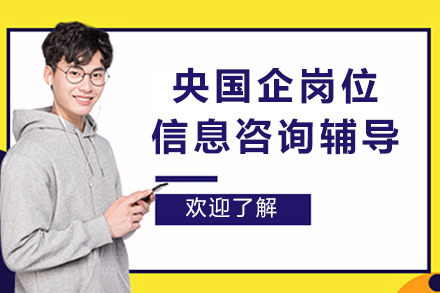 央国企职业发展全周期指导策略