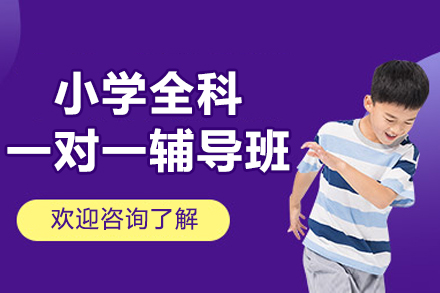 杭州小学一对一补习班个性化教学方案