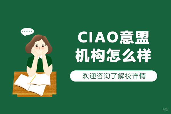 沈阳CIAO意盟培训机构教学实力深度解析：课程与师资全面剖析