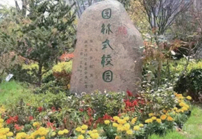 校区绿化环境