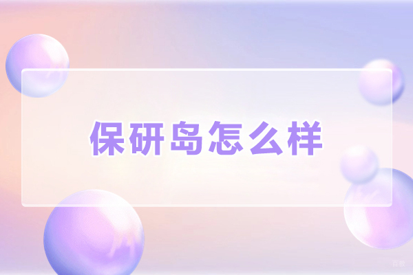 深度探索保研岛的服务品质与教育优势 
