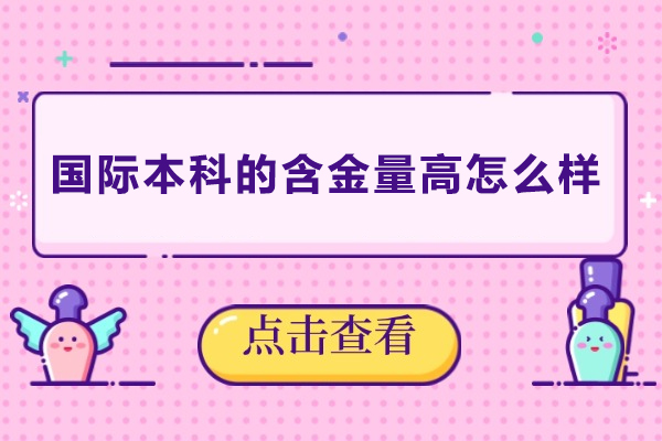 国际本科学历：全球竞争力提升的黄金路径探索
