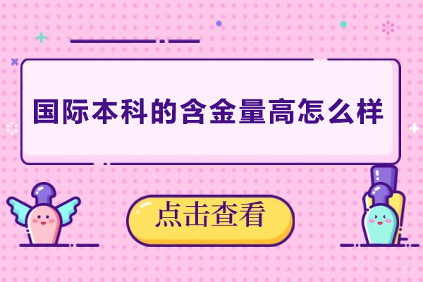 国际本科学历：全球竞争力提升的黄金路径探索 