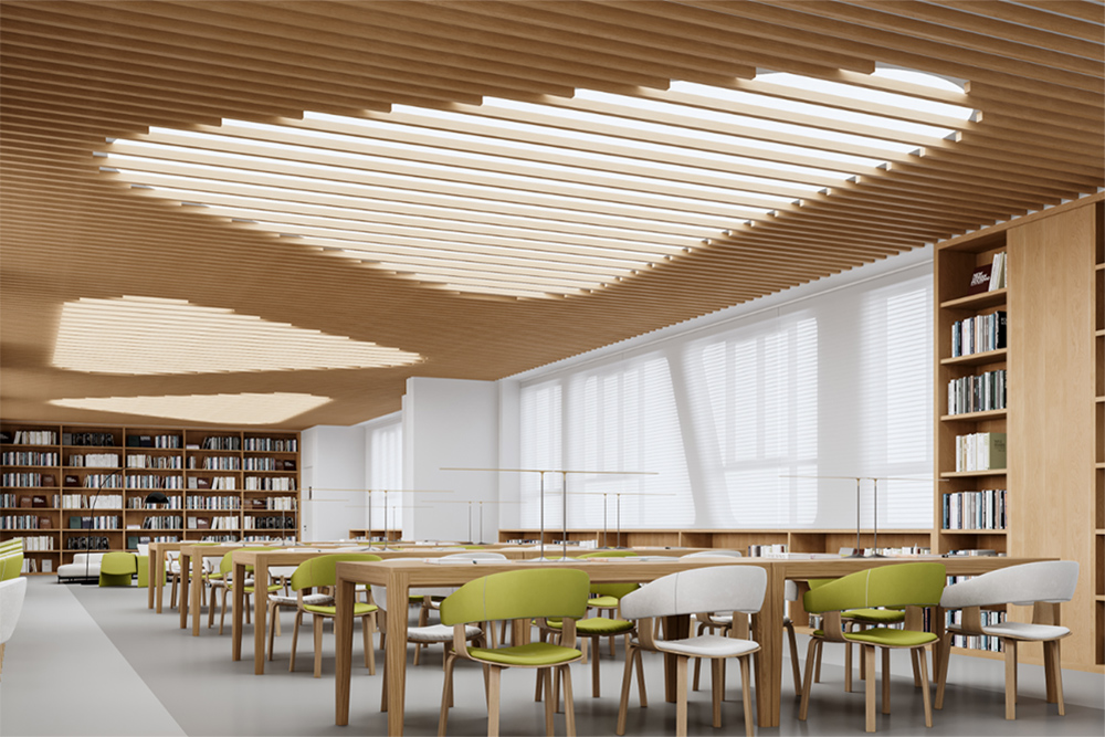 学校图书馆环境