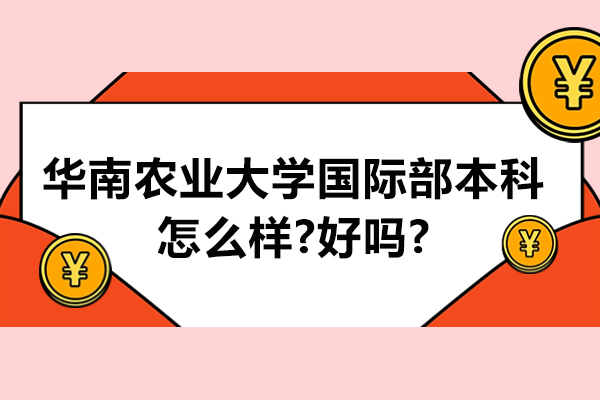 华南农业大学国际部本科国际教育剖析：核心优势与学习路径