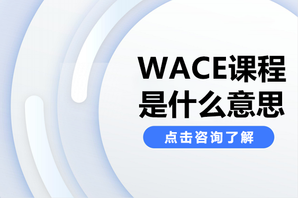 上海松江区爱菊学校WACE国际课程全方位解析 