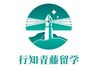 广州行知青藤留学