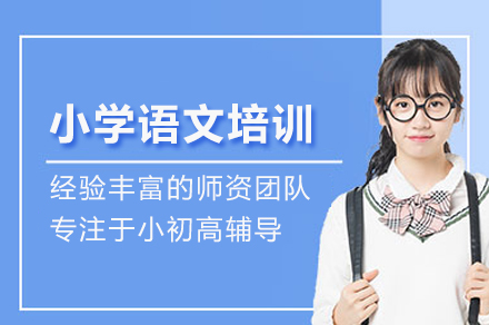 北京个性化小学语文一对一高效提分课程揭秘