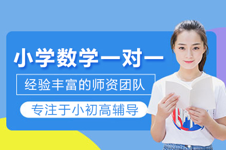 赫京师小学数学一对一培训：个性化学业提升策略
