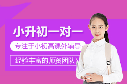 北京小升初全科一对一备考特训：赫京师教育专业辅导指南