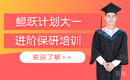 鲲跃计划大一进阶985版保研培训网课课程