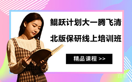 鲲跃计划大一腾飞清北版保研线上培训班