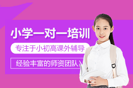 北京小学一对一培训班
